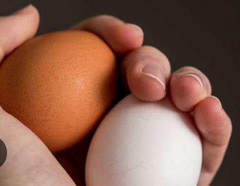 ब्राउन या सफ़ेद अंडा कौन सा अंडा ज्यादा हेल्दी होता है?