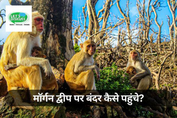 मॉर्गन द्वीप पर बंदर कैसे पहुंचे?