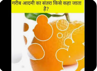 भारत मे किस फल को गरीब का संतरा कहा जाता है?