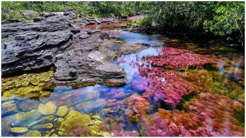 वह कौन सी नदी है जो अपना रंग बदलती रहती है?