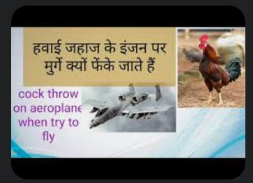 हवाई जहाज के इंजन पर मुर्गे क्यों फेंके जाते हैं?