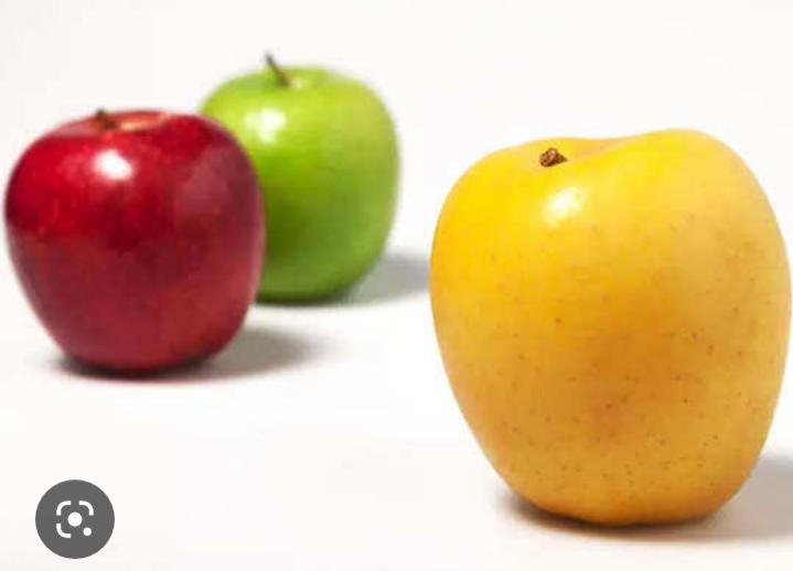 पीले रंग का सेब कहां पाया जाता है?
