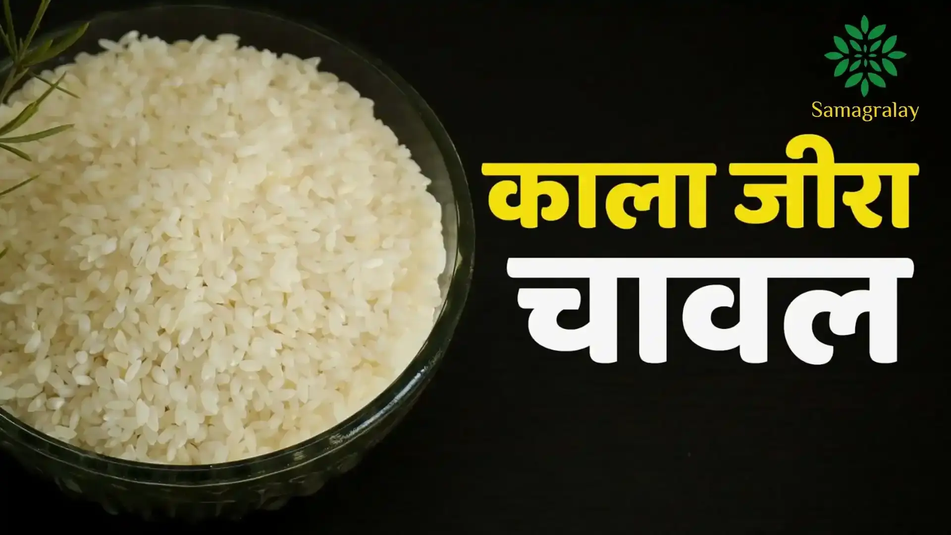 काला जीरा चावल किस राज्य का खाद्य उत्पाद है? 