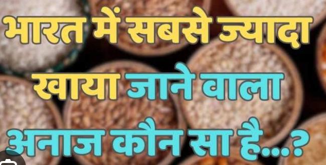 भारत में कौन सा अनाज सबसे ज्यादा खाया जाता है?