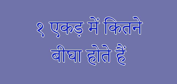 1 ekad mein kitane beegha hote hain