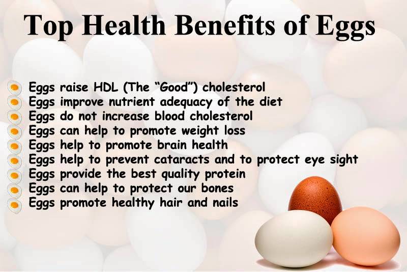 Are Eggs Good For You If So What Are The Health Benefits Letsdiskuss